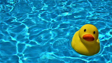 Anfängerschwimmkurs in Köln